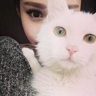 倾城倾国的微信女生头像图片大全