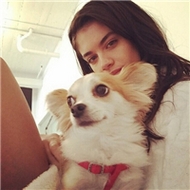 时尚潮流的qq欧美女生头像大全