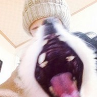 可爱时尚的微信女生头像图片欣赏