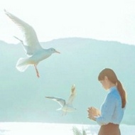 清纯可爱的小清新微信女生头像图片