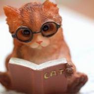 萌哒哒胖胖可爱的猫咪动物qq头像图片