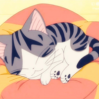 超可爱的卡通猫咪动物头像图片大全