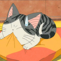 超可爱的卡通猫咪动物头像图片大全