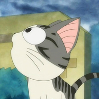 超可爱的卡通猫咪动物头像图片大全