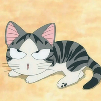 超可爱的卡通猫咪动物头像图片大全