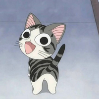 超可爱的卡通猫咪动物头像图片大全