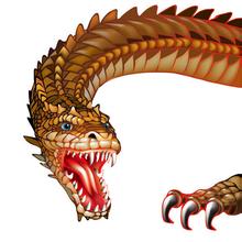 富丽堂皇的古代中国龙头像图片大全