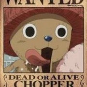 逗比搞笑的海贼王动漫路飞头像