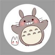 可爱卖萌的龙猫qq卡通动物头像图片