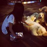 非主流时尚潮流微博女生霸气头像大全