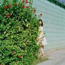 精选小清新微信景色头像图片大全