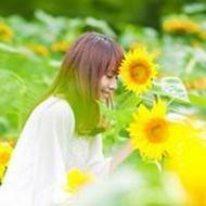 精选小清新微信景色头像图片大全