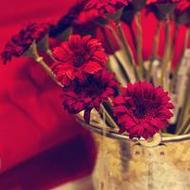 夏日清新美丽的花朵唯美意境qq头像图片