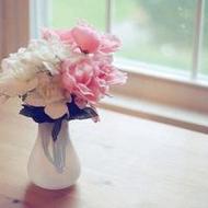 夏日清新美丽的花朵唯美意境qq头像图片