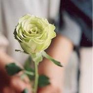 夏日清新美丽的花朵唯美意境qq头像图片