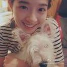 小清新非主流系列女生微信头像图片