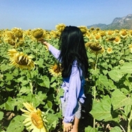小清新唯美森系微信女生景色头像大全