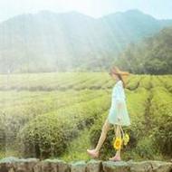 小清新唯美女生qq卡通头像大全