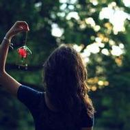 欧美森系女生唯美意境微信头像图片